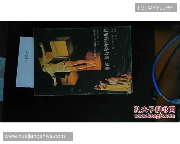 已离婚足球明星的情感历程与职业生涯的交织探讨